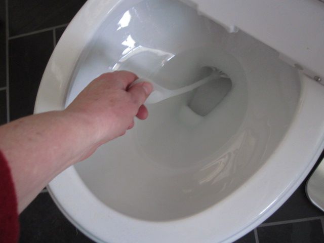 brush inside trap photo IMG_3938_zps4ee2ef81.jpg